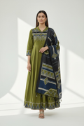 3 Piece Stitched Cotton Outfit (D17)